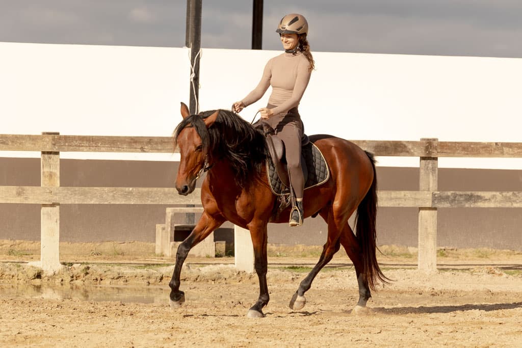 Tanja Riedinger - Trainer at Equilumina Festival - Nativehorses