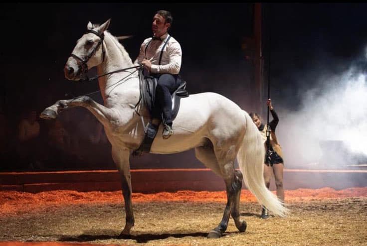 Kevin Ferreira  - Trainer at Equilumina Festival - Voltigierer und Pferdetrainer