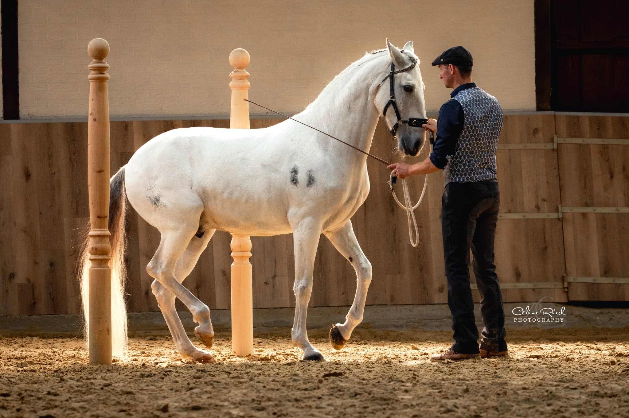 Marius Schneider  - Trainer at Equilumina Festival - Meister der Akademischen Reitkunst