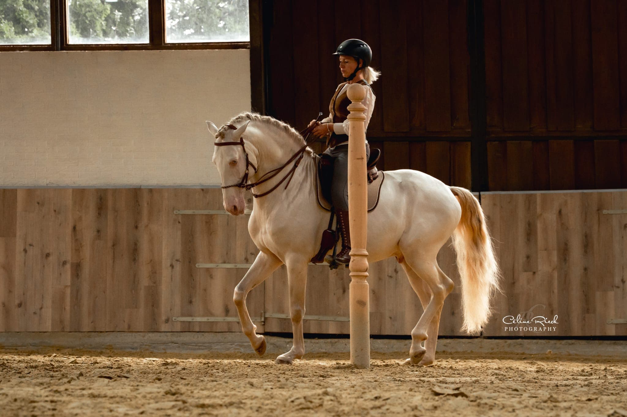 Carina Dörfler - Trainer at Equilumina Festival - Trainerin Akademische Reitkunst